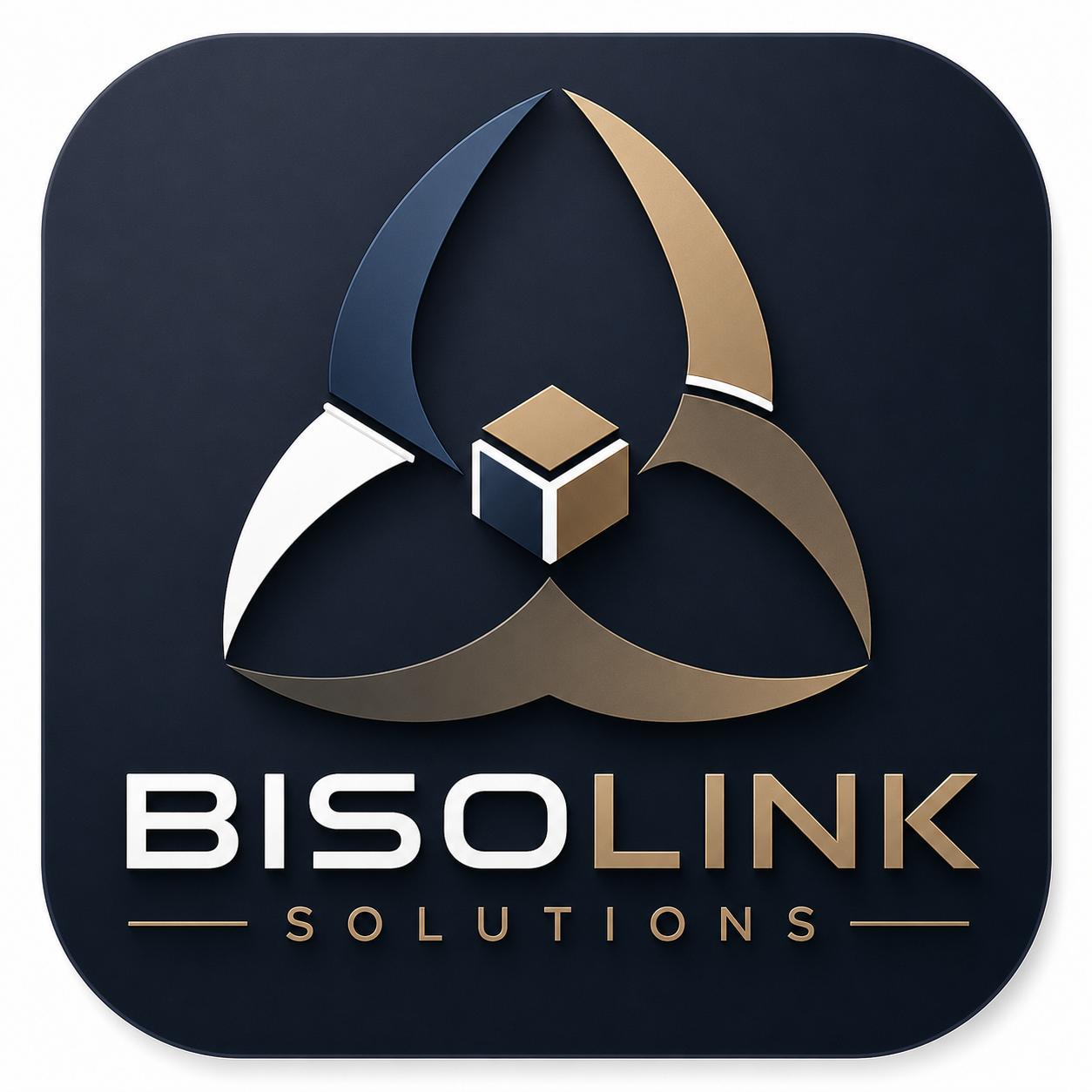 BISOLINK SOLUTIONS