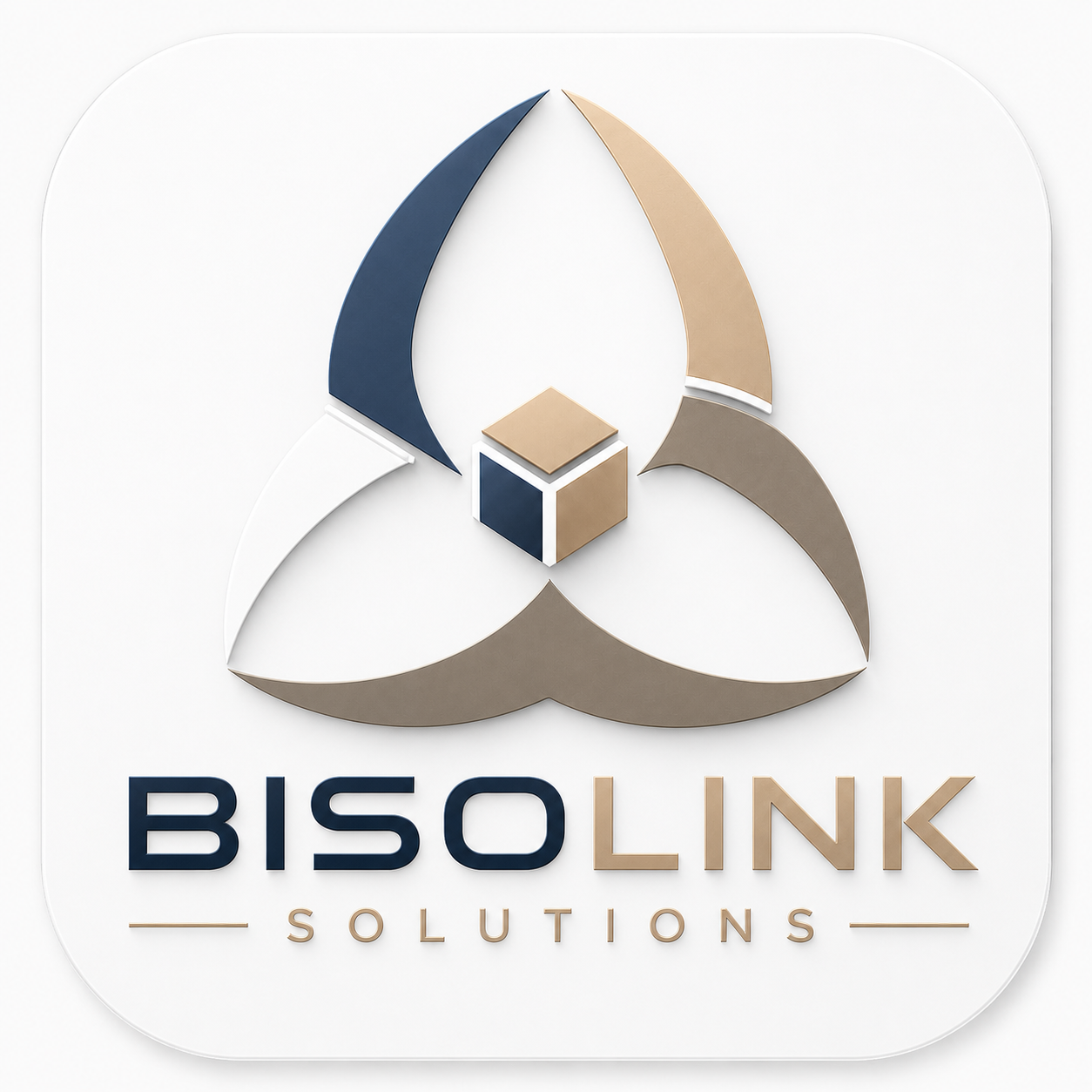 BISOLINK SOLUTIONS